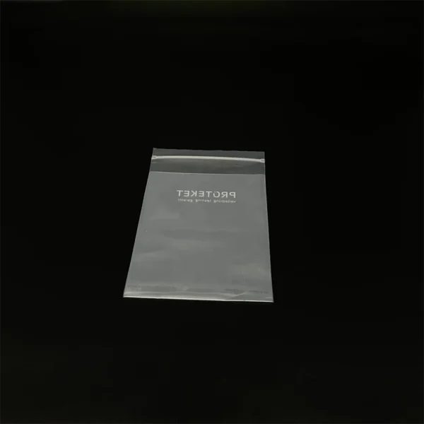 AVIVA Frosted Zipper Bag